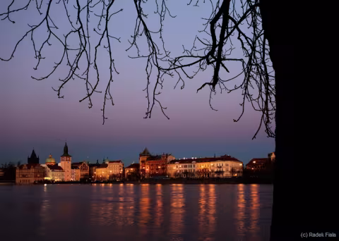 Neučesaná